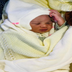 havilland fertility clinic babies